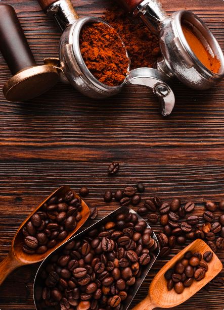Highland Ethiopian coffee farms